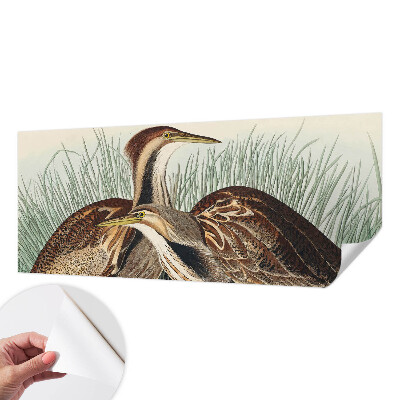 Samolepiaca fototapeta do spálne Realistické vtáky