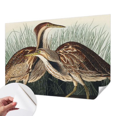 Samolepiaca fototapeta do spálne Realistické vtáky