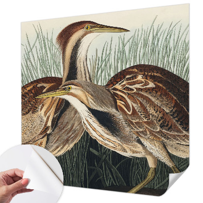 Samolepiaca fototapeta do spálne Realistické vtáky