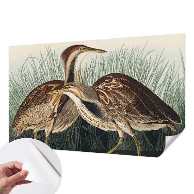 Samolepiaca fototapeta do spálne Realistické vtáky