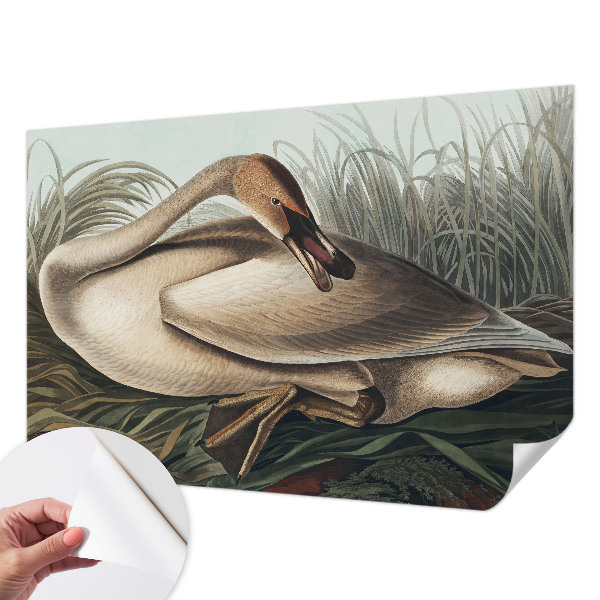 Samolepiaca fototapeta do detskej izby Prírodný vták