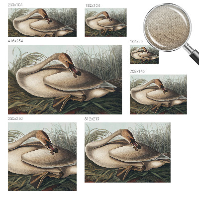 Samolepiaca fototapeta do detskej izby Prírodný vták