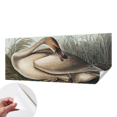 Samolepiaca fototapeta do detskej izby Prírodný vták