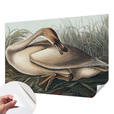 Samolepiaca fototapeta do detskej izby Prírodný vták