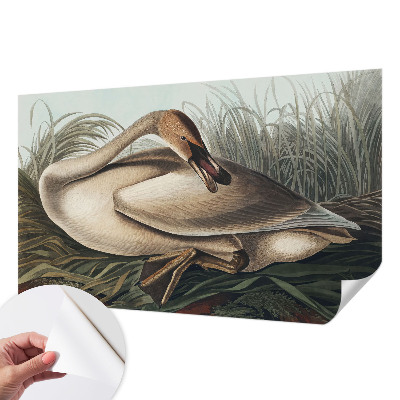 Samolepiaca fototapeta do detskej izby Prírodný vták