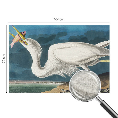 Detská tapeta Vták s rybou