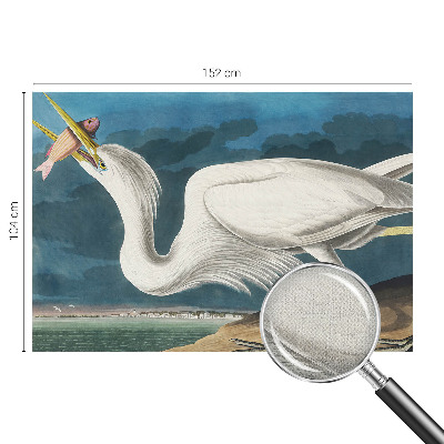 Detská tapeta Vták s rybou