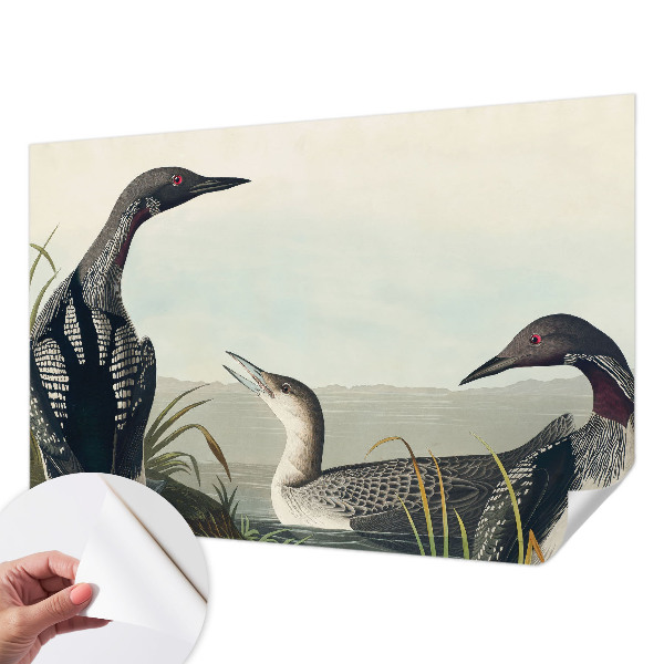 3D tapeta Vtáky nad vodou