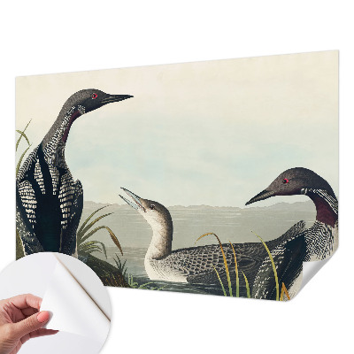 3D tapeta Vtáky nad vodou