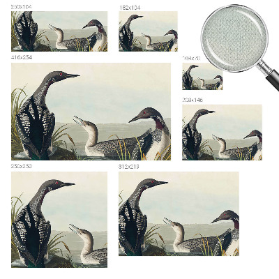 3D tapeta Vtáky nad vodou