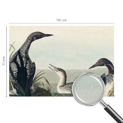 3D tapeta Vtáky nad vodou