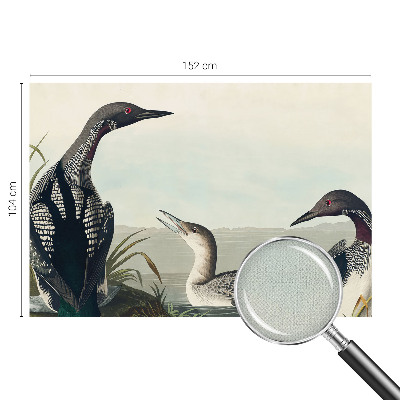 3D tapeta Vtáky nad vodou