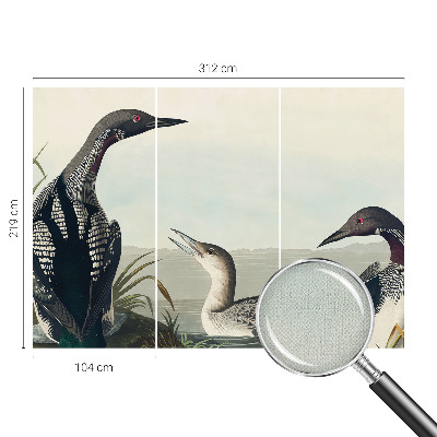 3D tapeta Vtáky nad vodou