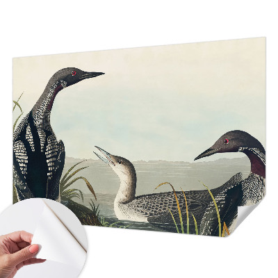 3D tapeta Vtáky nad vodou