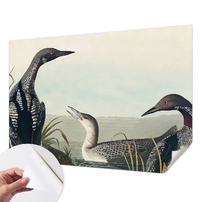 3D tapeta Vtáky nad vodou