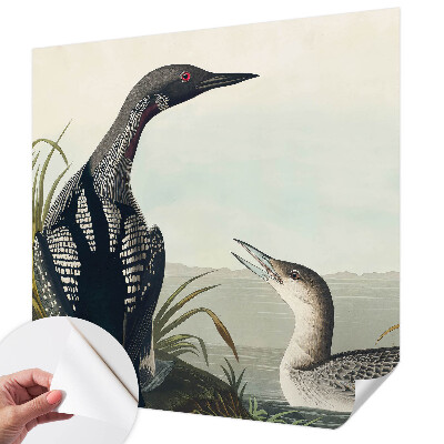 3D tapeta Vtáky nad vodou