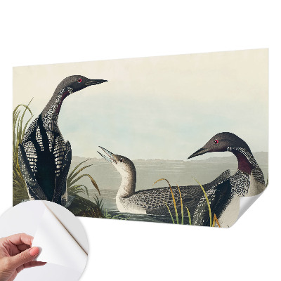 3D tapeta Vtáky nad vodou