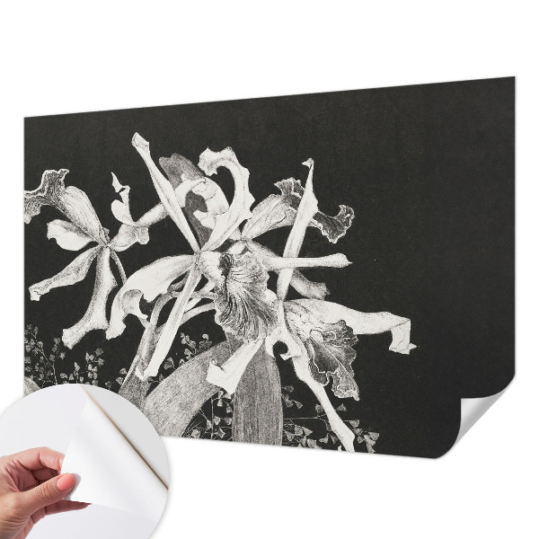 3D tapeta na stenu Ilustrácia orchidey