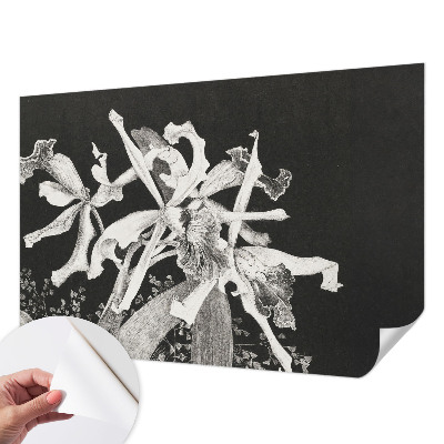 3D tapeta na stenu Ilustrácia orchidey