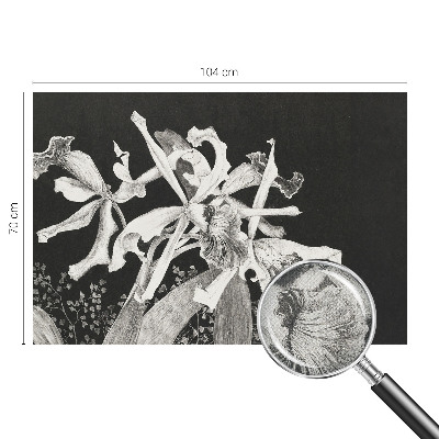 3D tapeta na stenu Ilustrácia orchidey