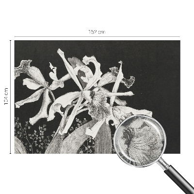 3D tapeta na stenu Ilustrácia orchidey