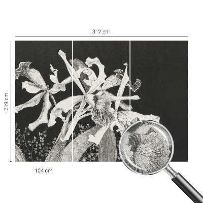 3D tapeta na stenu Ilustrácia orchidey