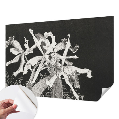 3D tapeta na stenu Ilustrácia orchidey