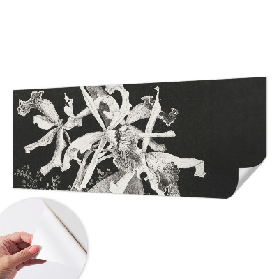 3D tapeta na stenu Ilustrácia orchidey