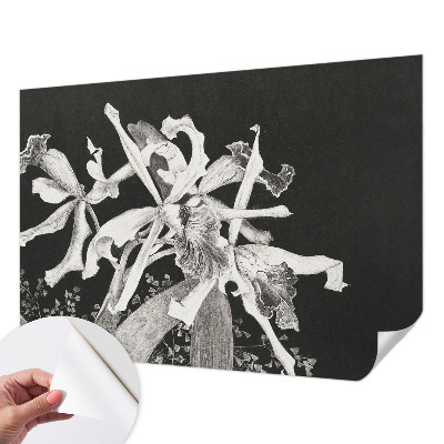 3D tapeta na stenu Ilustrácia orchidey