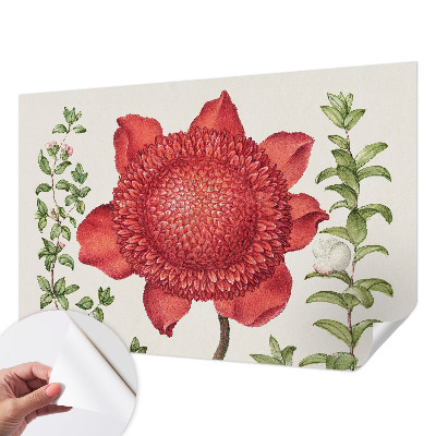 Tapeta do obývačky Kvetinová elegancia