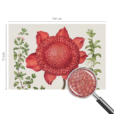 Tapeta do obývačky Kvetinová elegancia