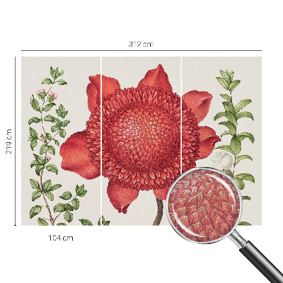 Tapeta do obývačky Kvetinová elegancia