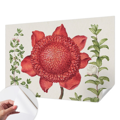 Tapeta do obývačky Kvetinová elegancia