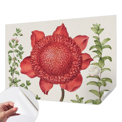 Tapeta do obývačky Kvetinová elegancia