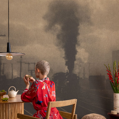 Fototapeta pre dievča Priemyselná krajina