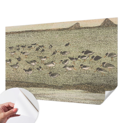 Moderná tapeta na stenu Vtáčí pokoj