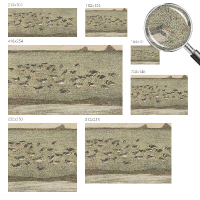 Moderná tapeta na stenu Vtáčí pokoj