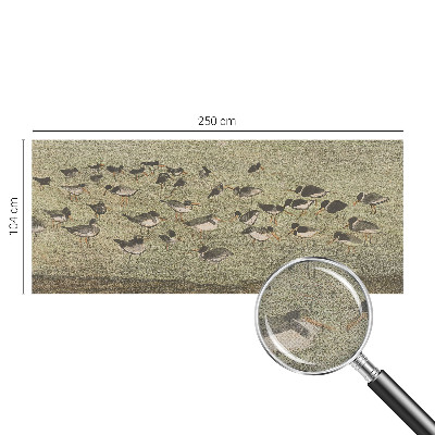 Moderná tapeta na stenu Vtáčí pokoj