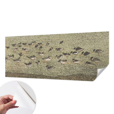 Moderná tapeta na stenu Vtáčí pokoj