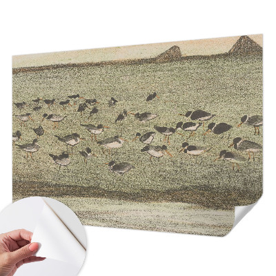 Moderná tapeta na stenu Vtáčí pokoj