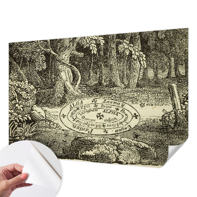 3D fototapeta Magický kruh