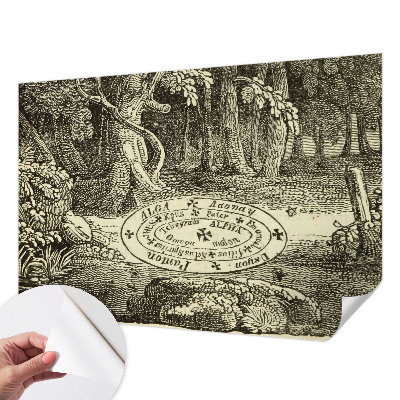 3D fototapeta Magický kruh