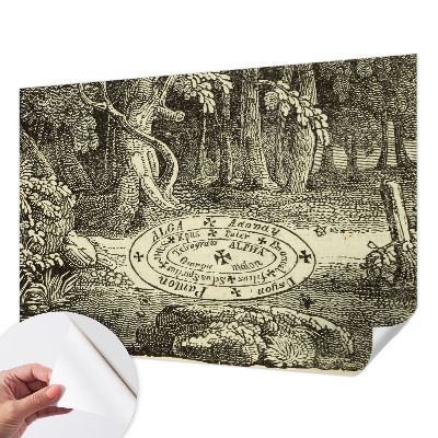 3D fototapeta Magický kruh