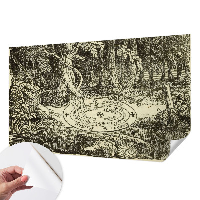 3D fototapeta Magický kruh