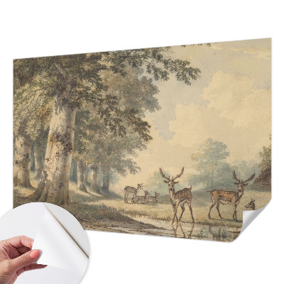 3D tapeta na stenu Lesný pokoj