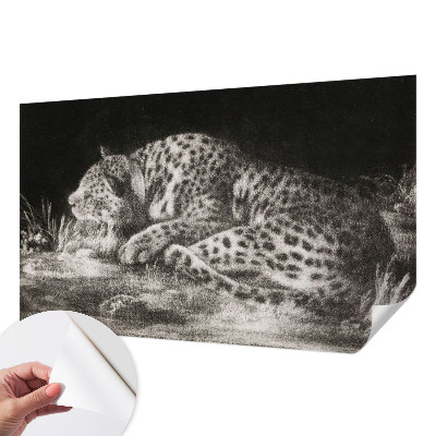 Detská fototapeta na stenu Leopard odpočíva