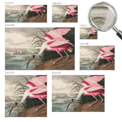 Samolepiaca tapeta Exotický vták