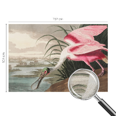 Samolepiaca tapeta Exotický vták