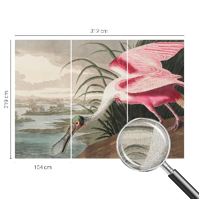 Samolepiaca tapeta Exotický vták