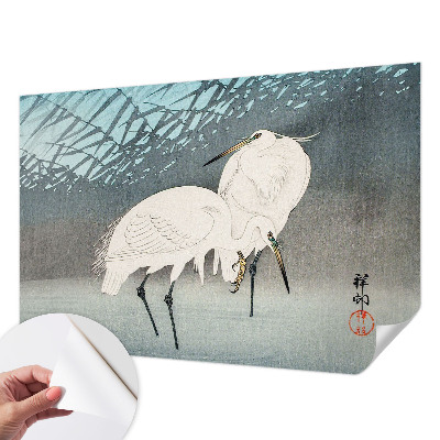 Samolepiaca fototapeta do obývačky Jemné vtáky